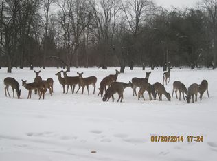 11770 Park Forest St, South Lyon, MI 48178