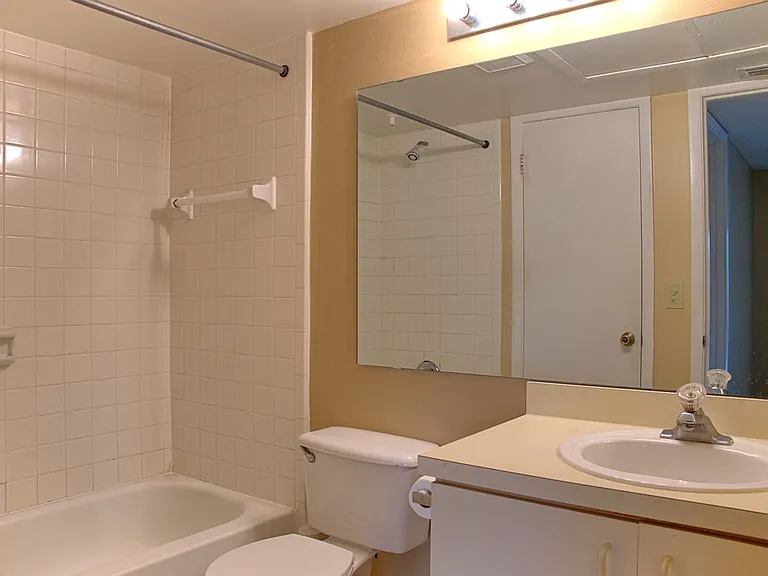 351 Lone Hill Dr #306 — Photo 8