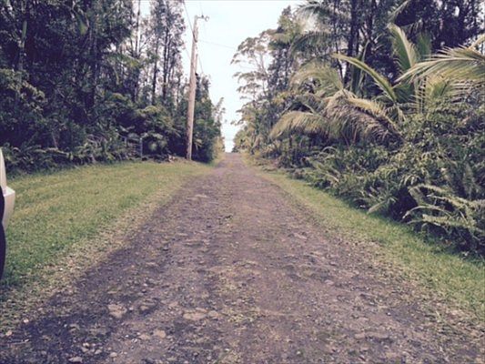 2nd image of Road 4 Kea #Io