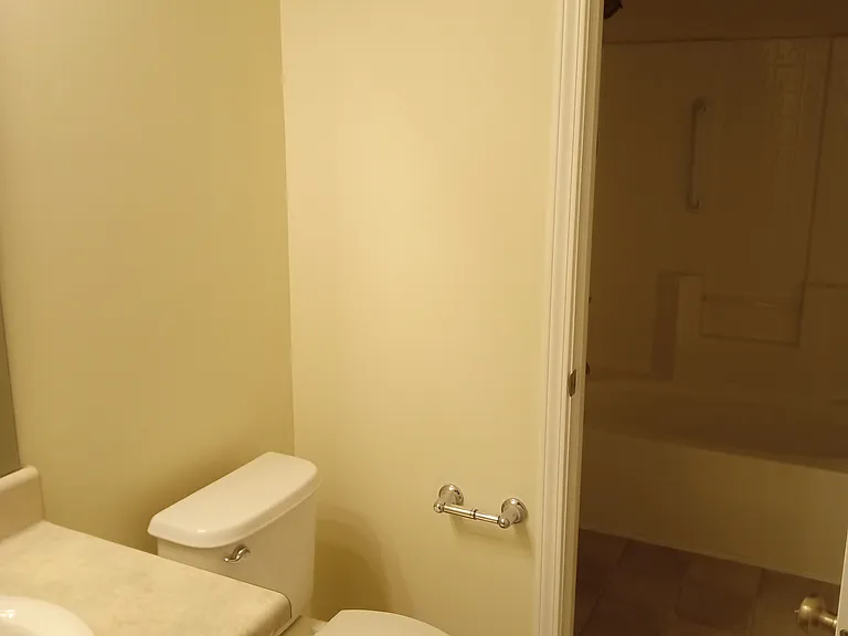 Hall Bathroom