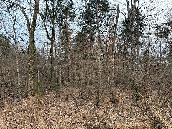 4th image of 7105 Colton Rd