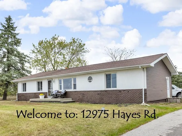 12975 Hayes Rd, Cement City, MI 49233