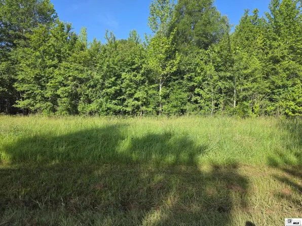 LOT 20 Tarver Rd, Mangham, LA 71259