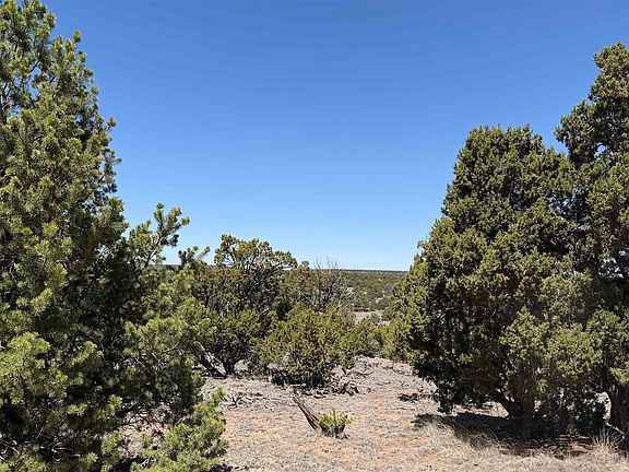 3rd image of Pima Dr