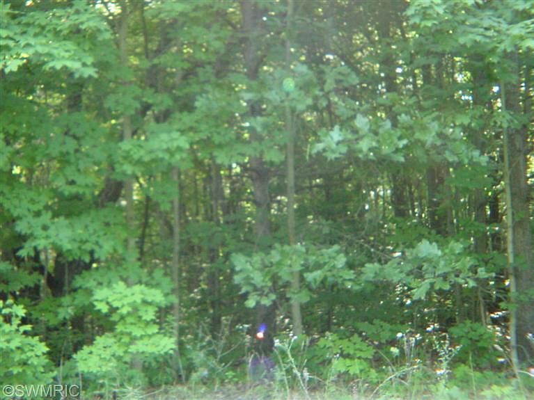 1st image of 10528 168th Ave