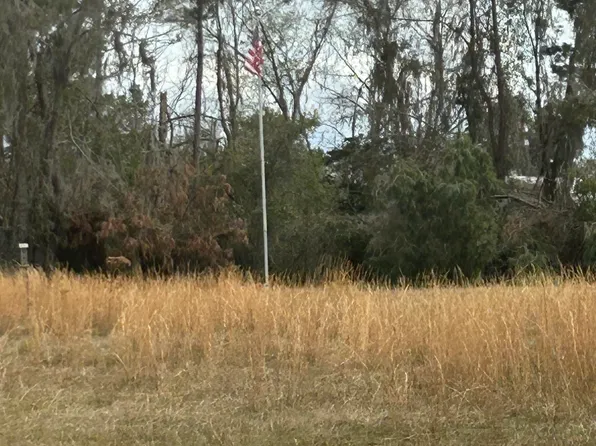 6046 SE 41 Highway SE, Jasper, FL 32052