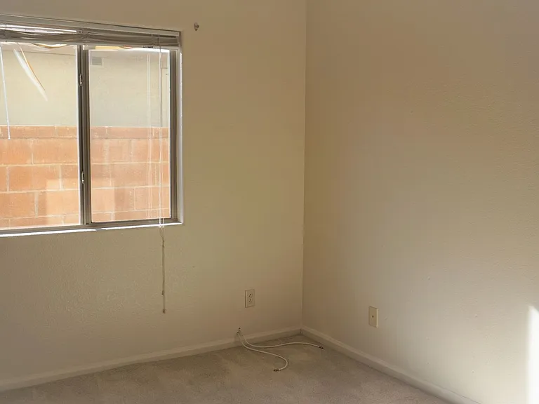 5280 Cedar Springs Dr — Photo 13