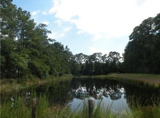 291 Ball Park Rd, Richmond Hill, GA 31324