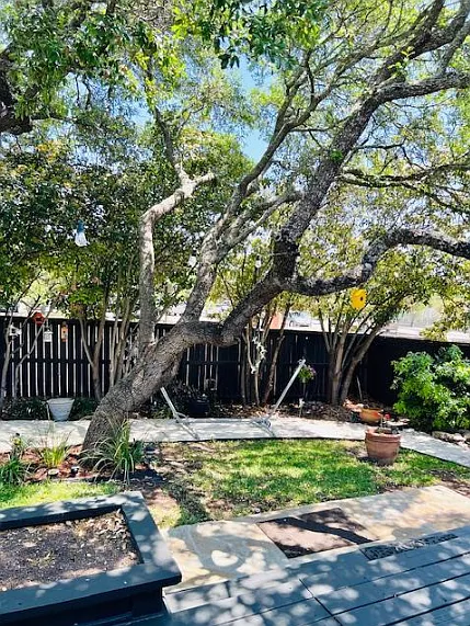 2311 Encino Mist — Photo 16