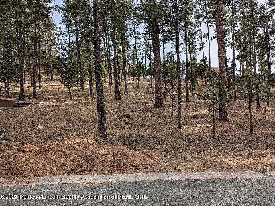 1st image of 320 White Mountain Meadows Dr