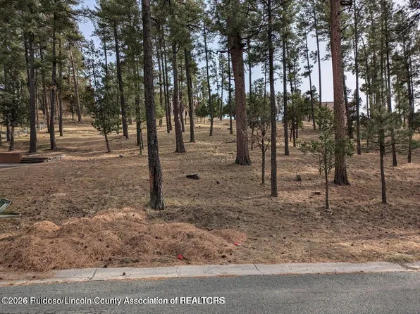 320 White Mountain Meadows Dr, Ruidoso, NM 88345