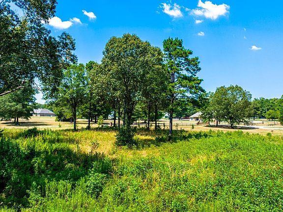4th image of Jacobin Creek Dr