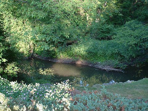 View of the creek
