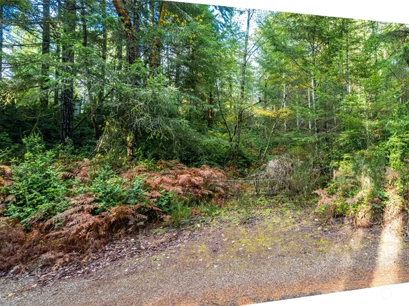 0 202nd Avenue NW, Lakebay, WA 98349