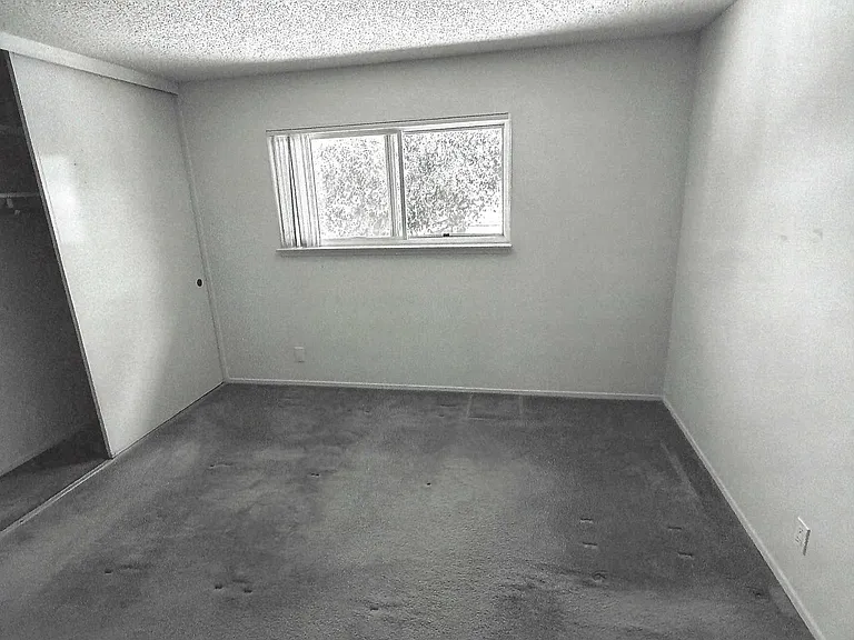 200 Avery Ln #12 — Photo 3