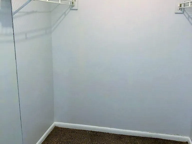 Downstairs walk in closet