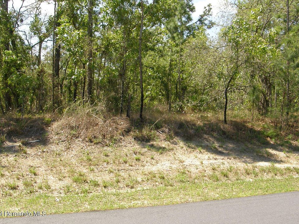 2nd image of 11462 Petrel Ave