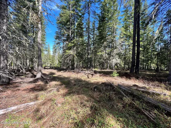 Nka Janes Ln, Saint Maries, ID 83861