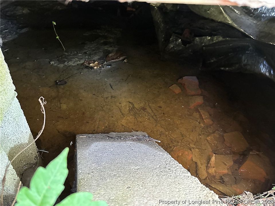 2nd image of 209 Whitfield Dr