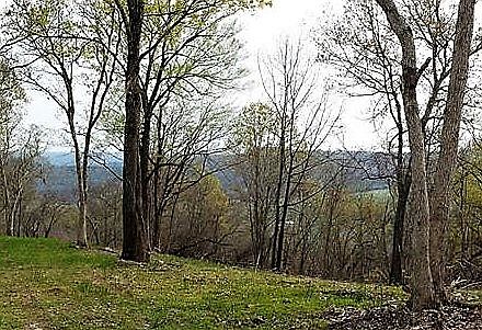 1st image of County Road 2322