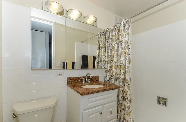 655 W Irving Park Rd #2508 — Photo 8