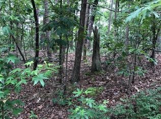 44 La Palabra Way, Hot Springs Village, AR 71909