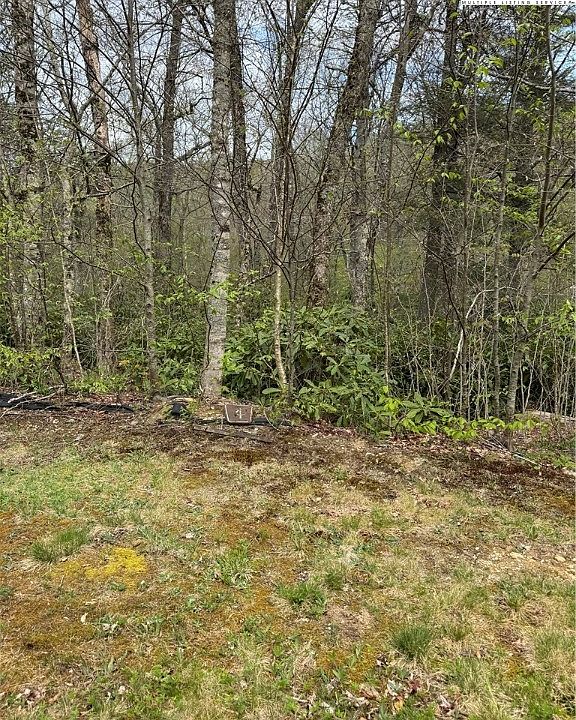 1st image of TBD Linville River Drive Lot 4 & 5