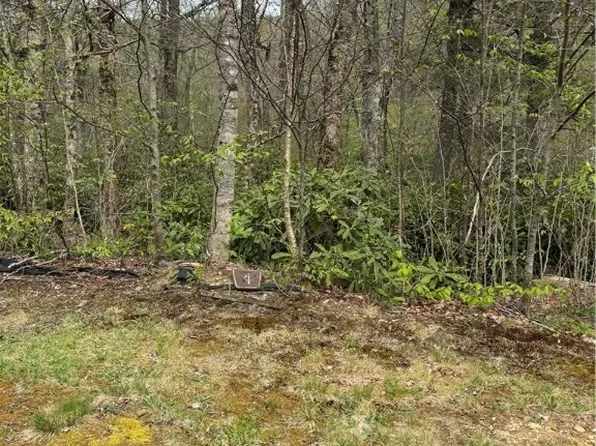 TBD Linville River Drive Lot 4 & 5, Linville, NC 28646