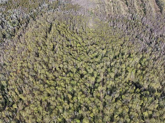 2nd image of County Line Rd