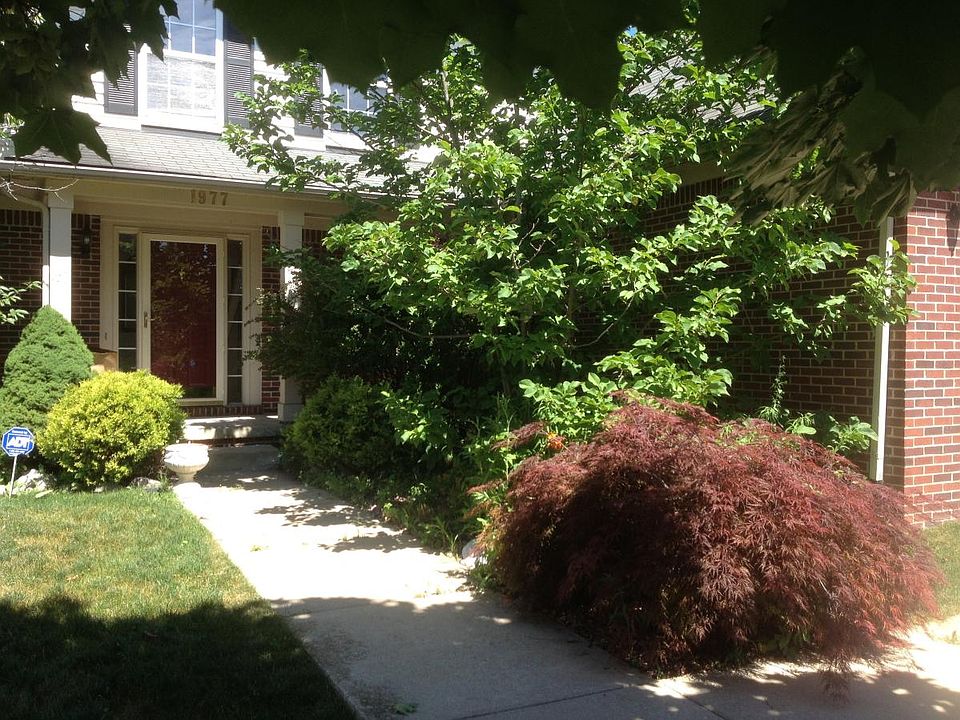 Front yard with beautiful shrubs and trees