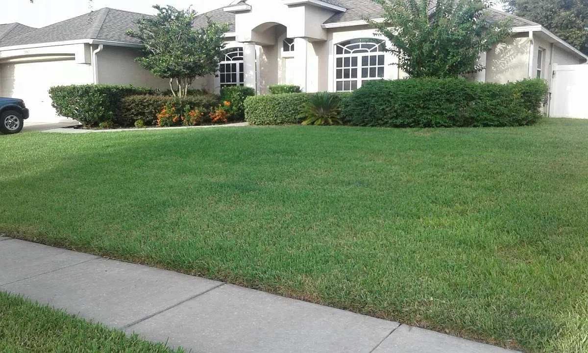 1952 Lazy Oaks Loop — Photo 1