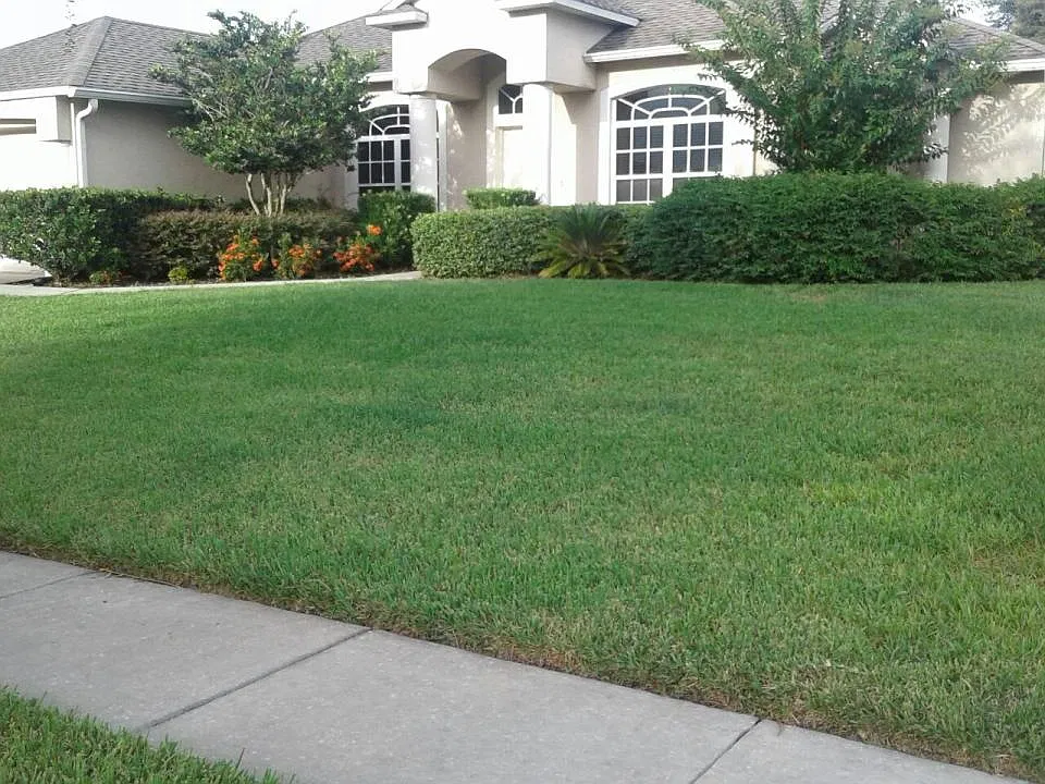 1952 Lazy Oaks Loop