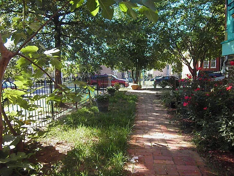 The Clara garden