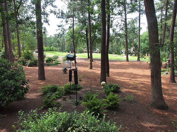 Golf View