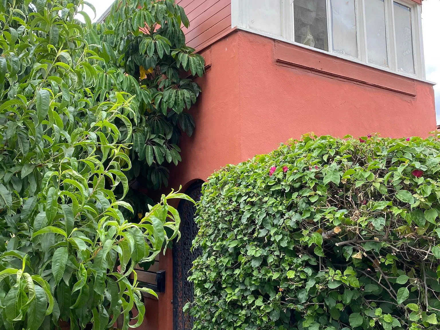 3 bed, 1000 sqft, $3,750 — Photo 4