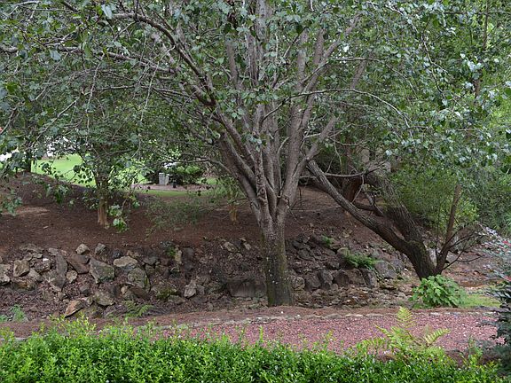 side yard with creek