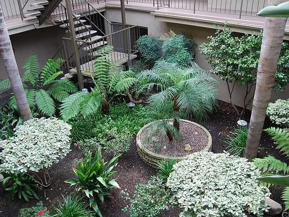 3rd image of 333 Junipero Ave APT 2A