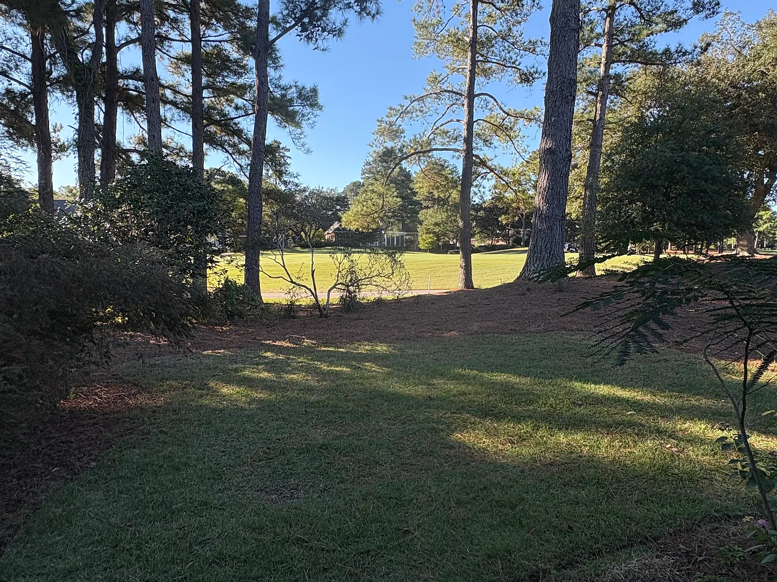 1012 Wild Dunes Cir — Photo 4