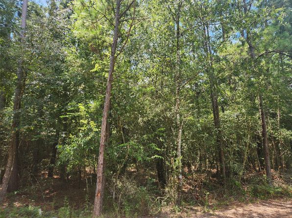LOT 1 Sycamore Ln, Plantersville, TX 77363