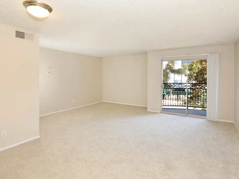 Carpeted Living Area and Balcony