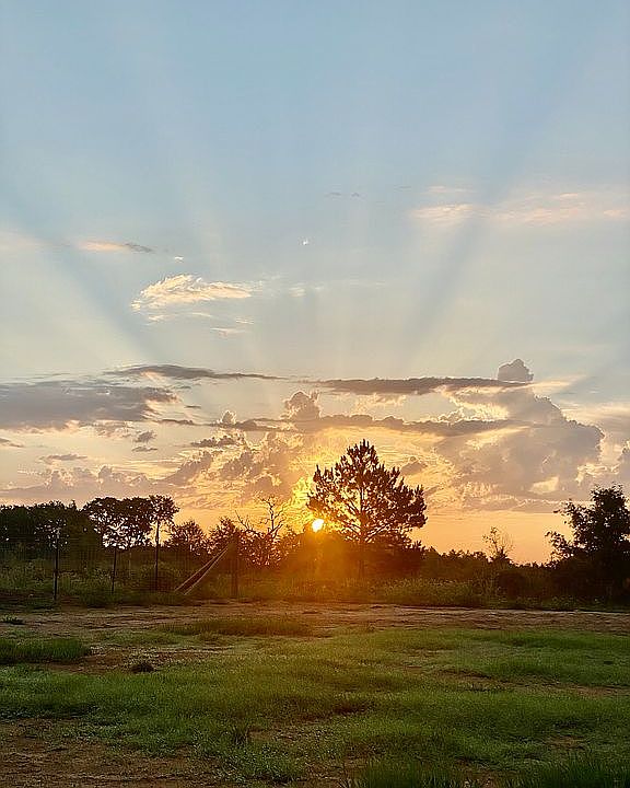 View from front porch