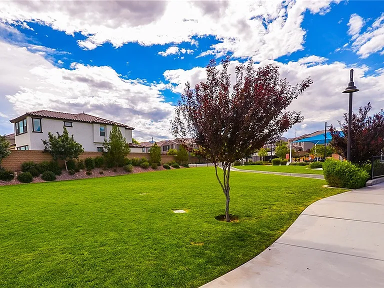 8162 Desert Madera St — Photo 34