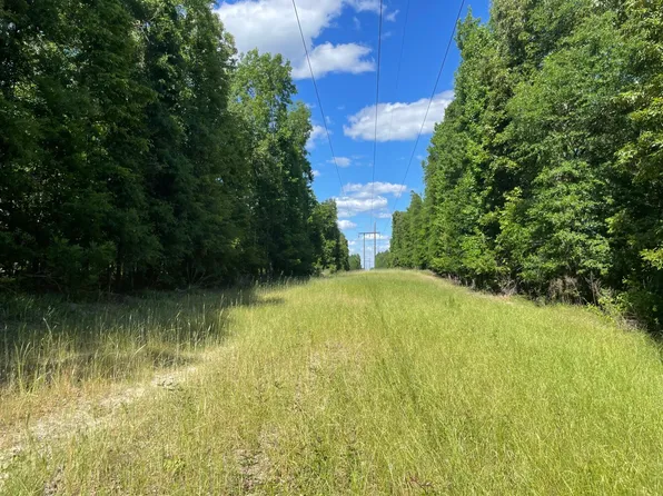 O Hwy #17, Butler, AL 36904