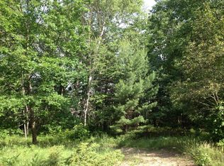 2796 W Cedar Lake Rd, Greenbush, MI 48738