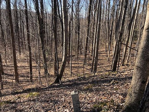 4th image of 0 Highlands Pkwy Lot 45