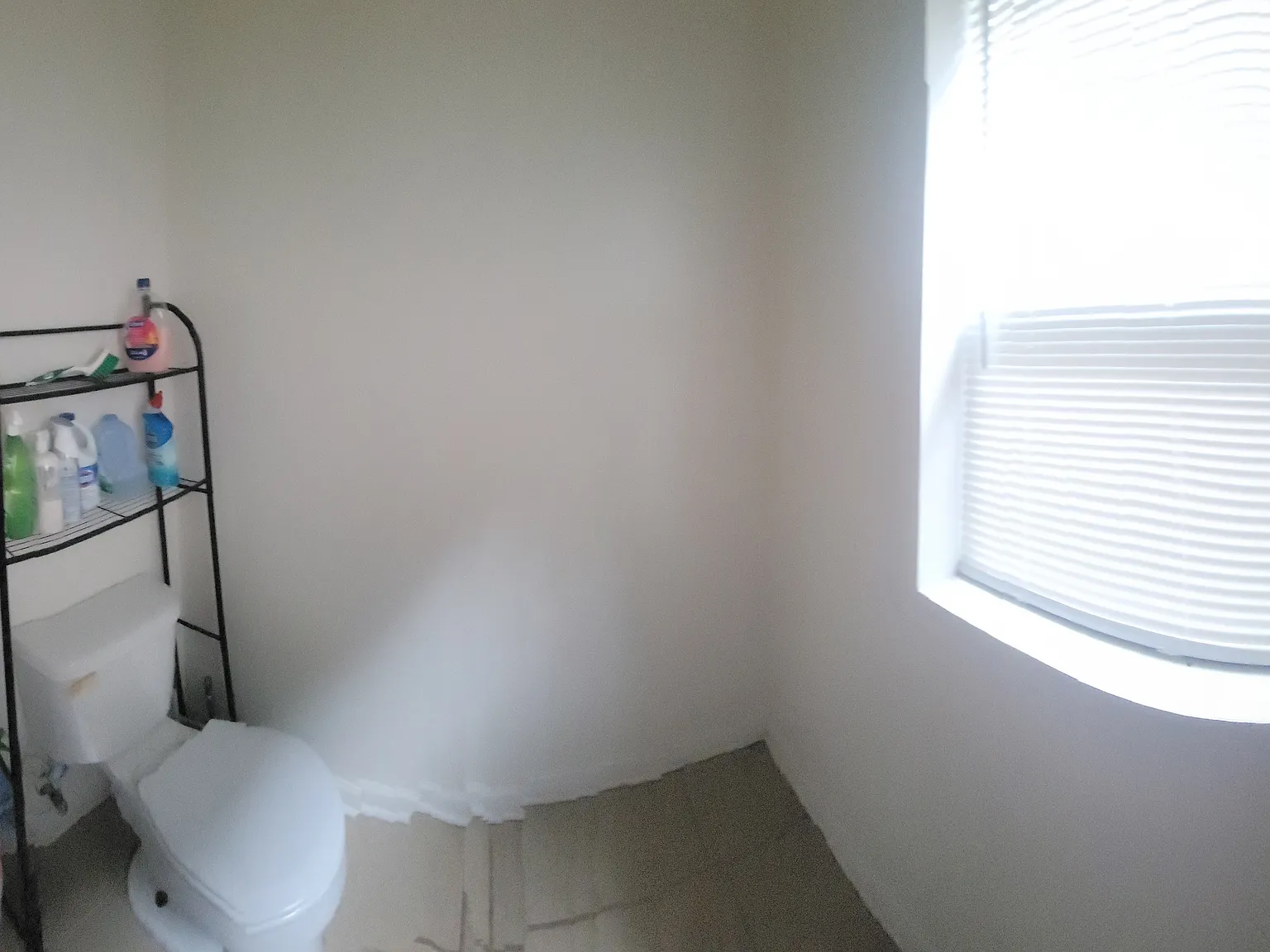 3 bed, 1.5 bath, 1776 sqft, $550 — Photo 3