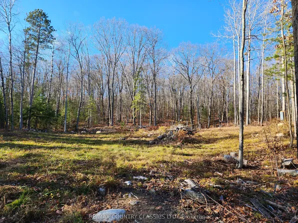 790 Mitchell Rd, Madawaska Valley, ON K0J 1B0