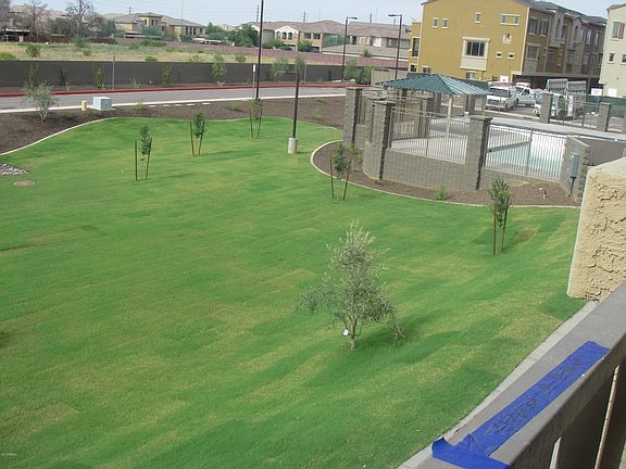 When trees were small.view of pool