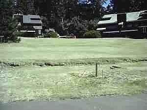 view from street to lots