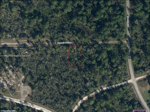 3206 Harlequin Duck Ave, Lake Placid, FL 33852